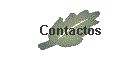 Contactos